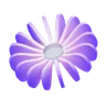 Bangle Torus