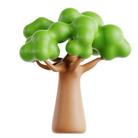 Baobab Tree  3D Icon