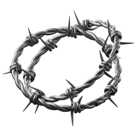 Barbed Wire  3D Icon
