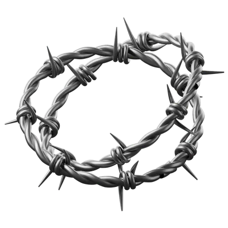 Barbed Wire  3D Icon