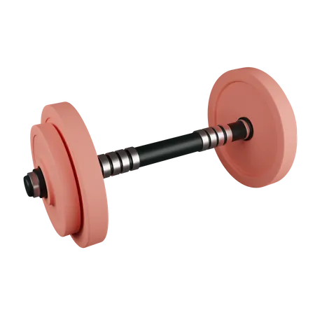Barbell Weights Contains PNG BLEND GLTF And OBJ Files 3D Icon