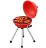 Barbeque