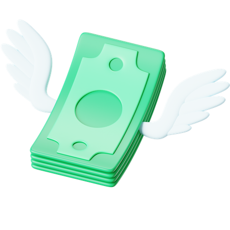 Bargeld fliegen  3D Icon