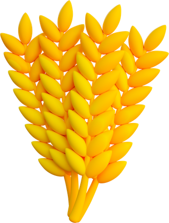 Barley  3D Icon