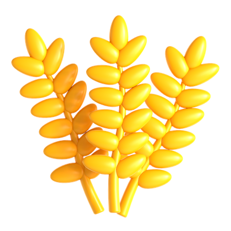 Barley  3D Icon