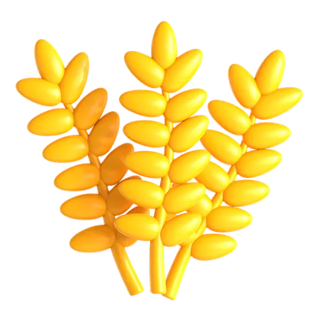 Barley  3D Icon