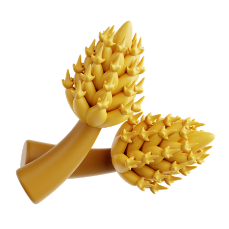 Barley  3D Icon