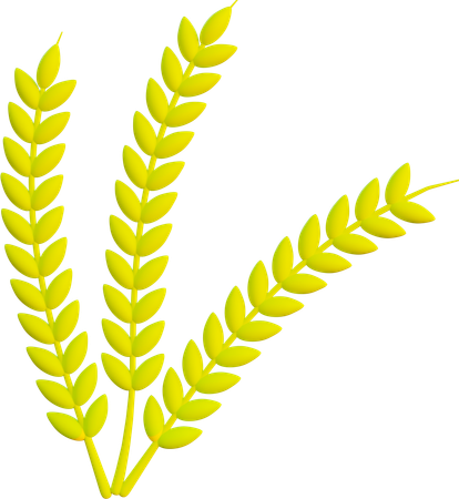 Barley  3D Icon