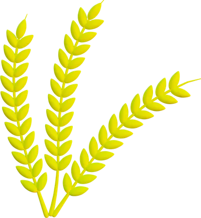 Barley  3D Icon