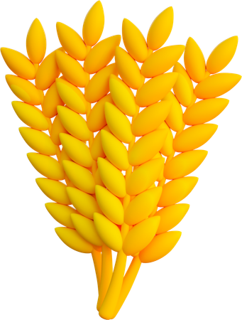 Barley  3D Icon