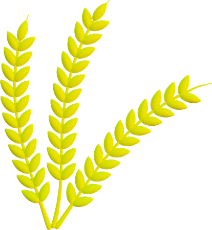 Barley  3D Icon