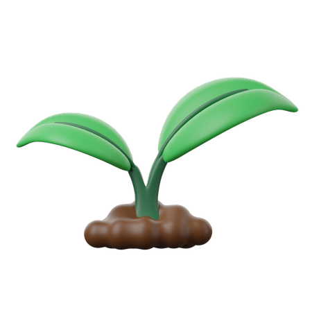 À base de plantas  3D Icon