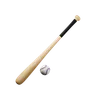 Baseball Bat