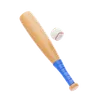 Baseball Bat