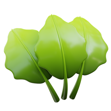 Basil  3D Icon