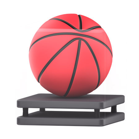 Basketball-Hülle  3D Icon