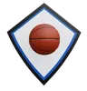 basketball shield