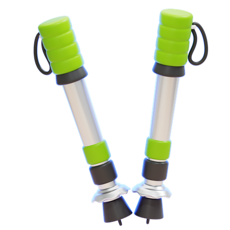 Polos de caminhada  3D Icon