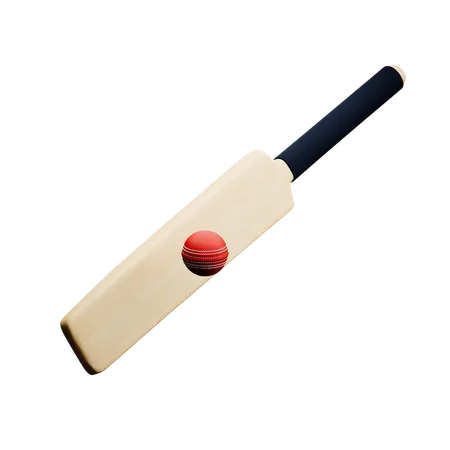 Pelota de bate de cricket  3D Icon