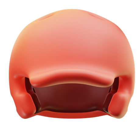 Batting Helmets  3D Icon