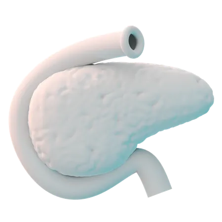 Pankreas  3D Icon