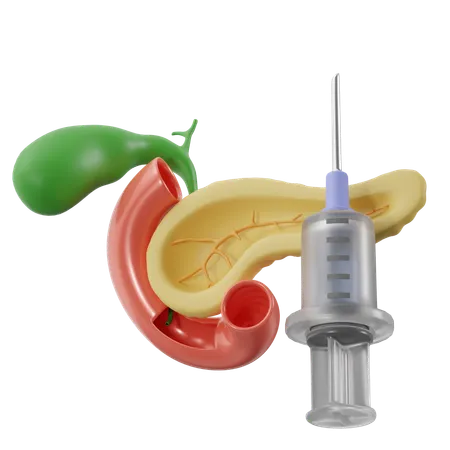 Bauchspeicheldrüse mit Insulinspritze  3D Icon