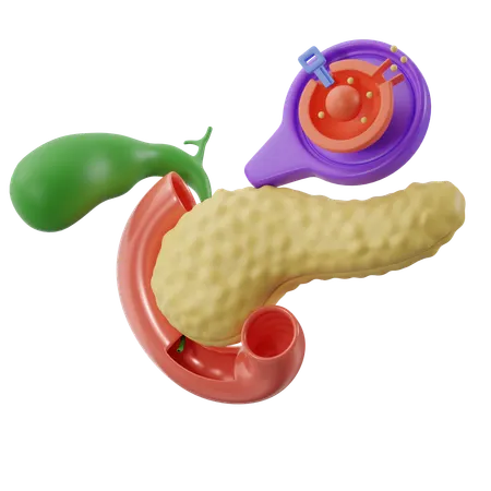 Bauchspeicheldrüse mit Zelle  3D Icon