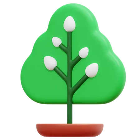 Baum  3D Icon