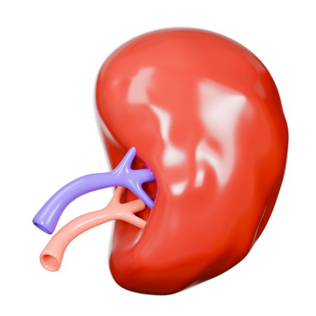 Bazo  3D Icon