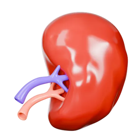Bazo  3D Icon