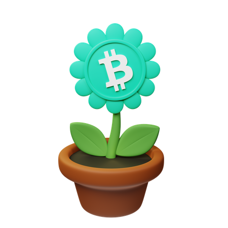 Maceta criptográfica bch  3D Icon