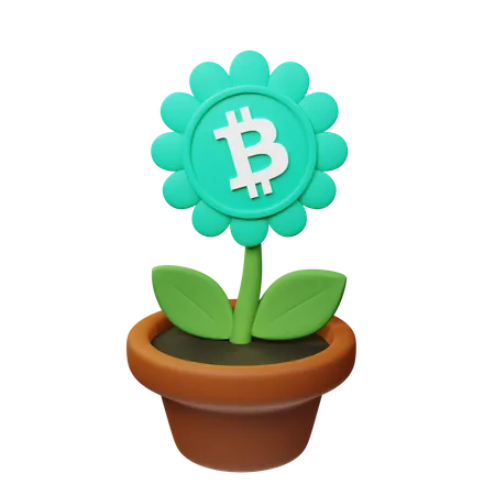 Maceta criptográfica bch  3D Icon