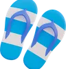 Beach Slipper