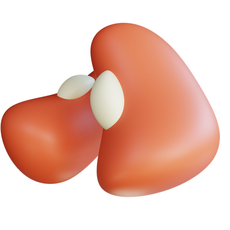 Bean  3D Icon