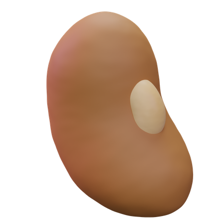 Bean  3D Icon