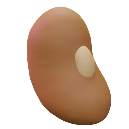 Bean  3D Icon