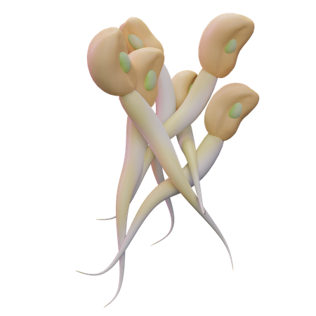 Bean Sprouts  3D Icon