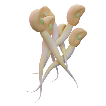 Bean Sprouts  3D Icon