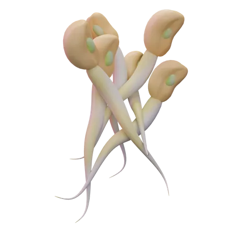 Bean Sprouts  3D Icon
