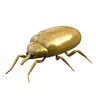 Bean Weevil