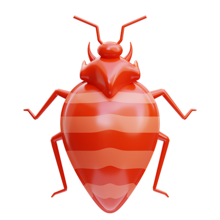 Bed Bug  3D Icon