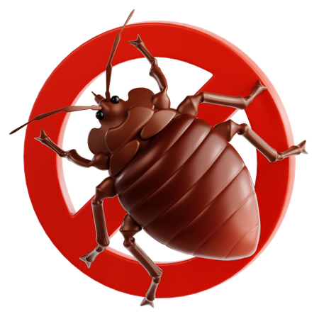 Bed Bug  3D Icon