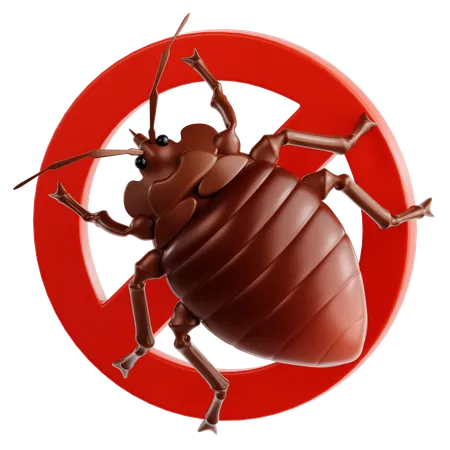 Bed Bug  3D Icon