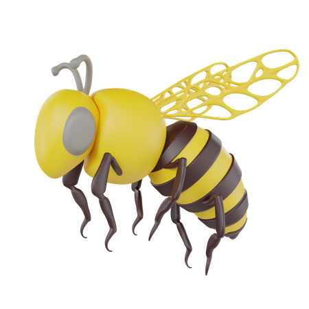 Bee  3D Icon