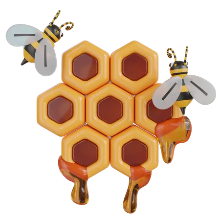 Bee And Honey Hexagon  3D Icon