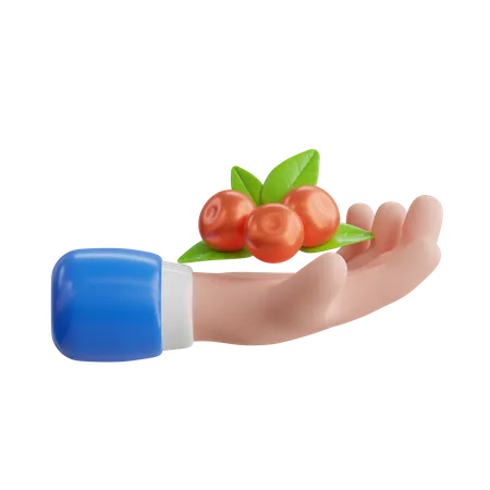 Beeren  3D Icon