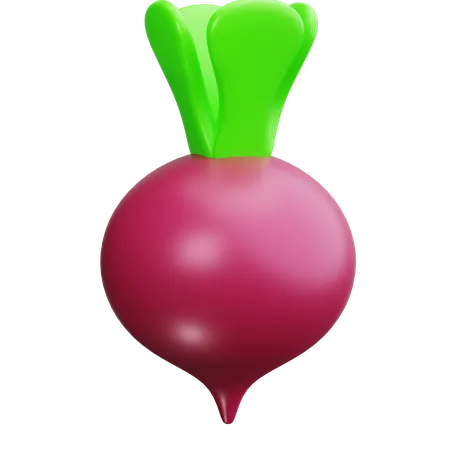 Beet  3D Icon