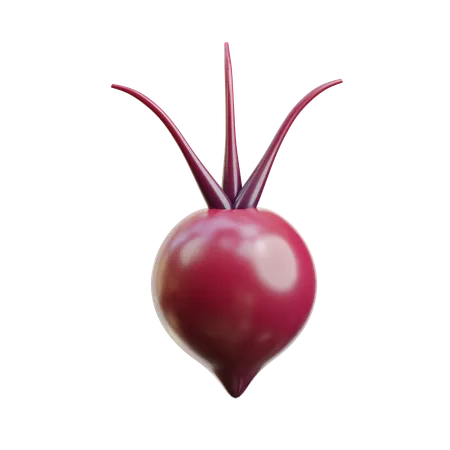 Beet  3D Icon