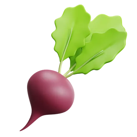 Beet  3D Icon