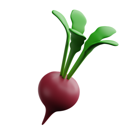 Beet  3D Icon